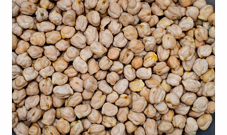 White CHICKPEAS