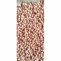 peanut