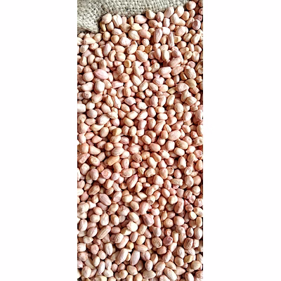 peanut