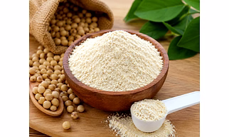 Soy Protien Isolate