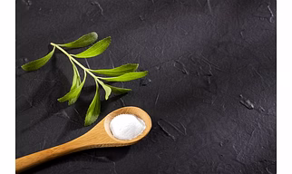 SG 95 Family-Stevia