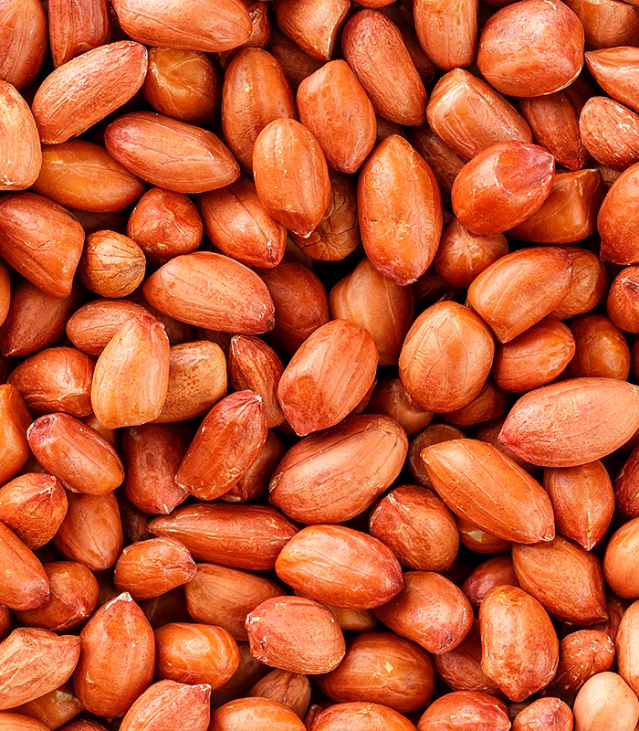 peanut
