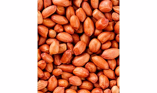 peanut