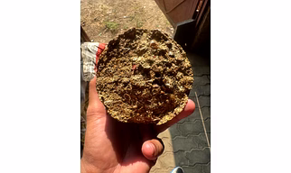 Biomass Pellets nd Briquettes