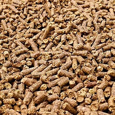 Biomass Pellets nd Briquettes image 3