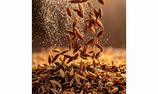 Cumin Seeds