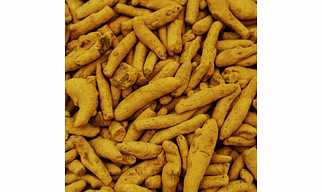 Turmeric Finger