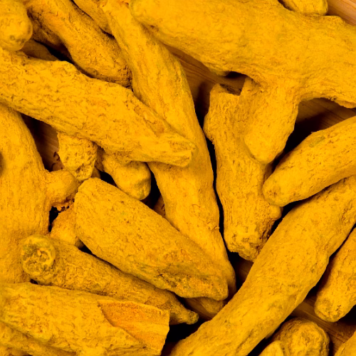 Turmeric Finger image 3