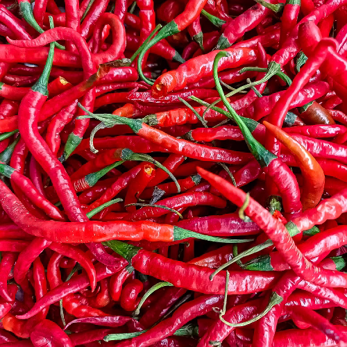 red chilli