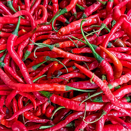 red chilli