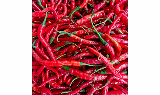 Red Chilli