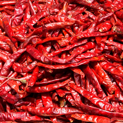 Red Chilli image 2