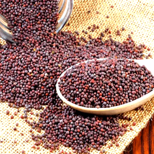 Mustard Seeds image 3