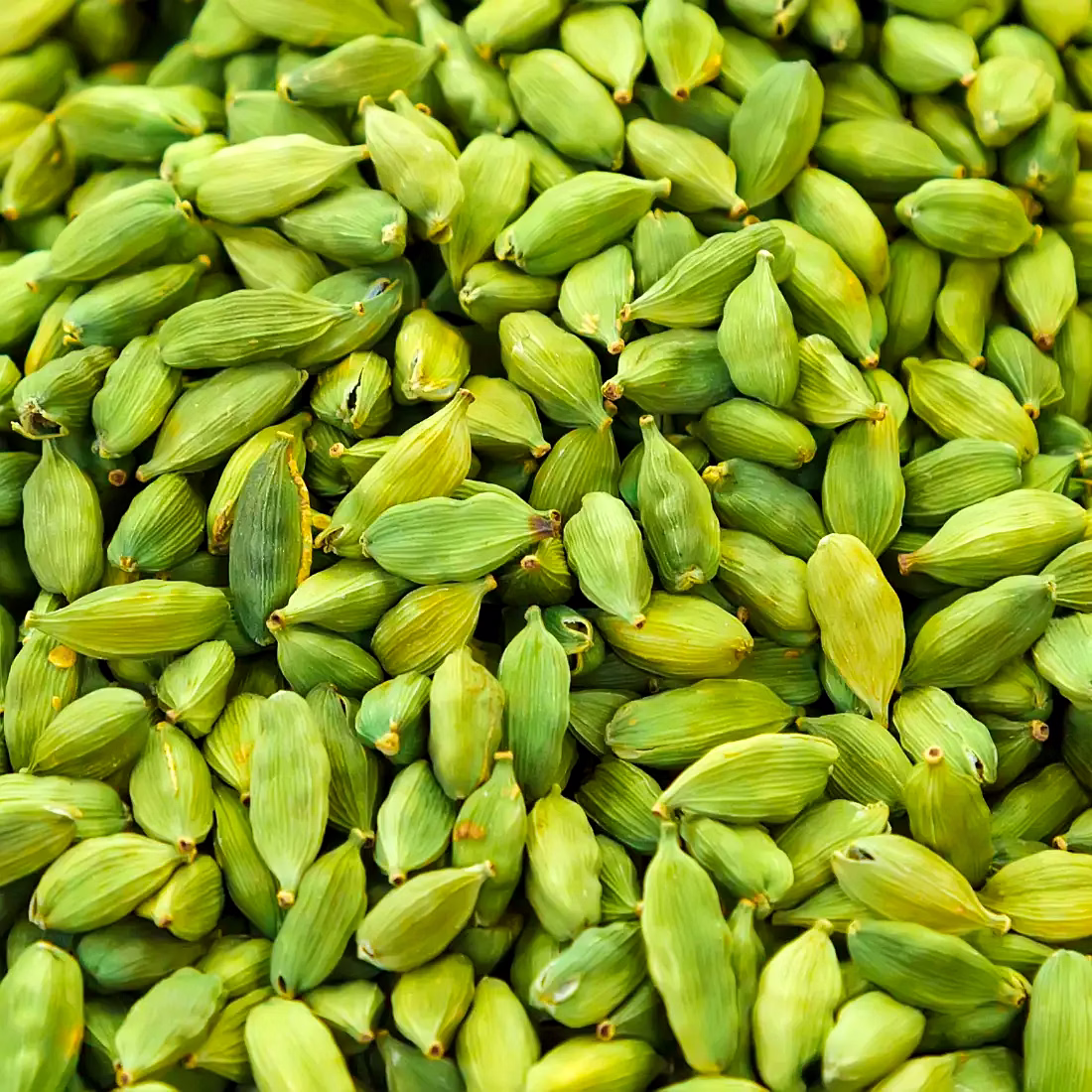Cardamom Pods image 3