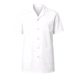 lab apron