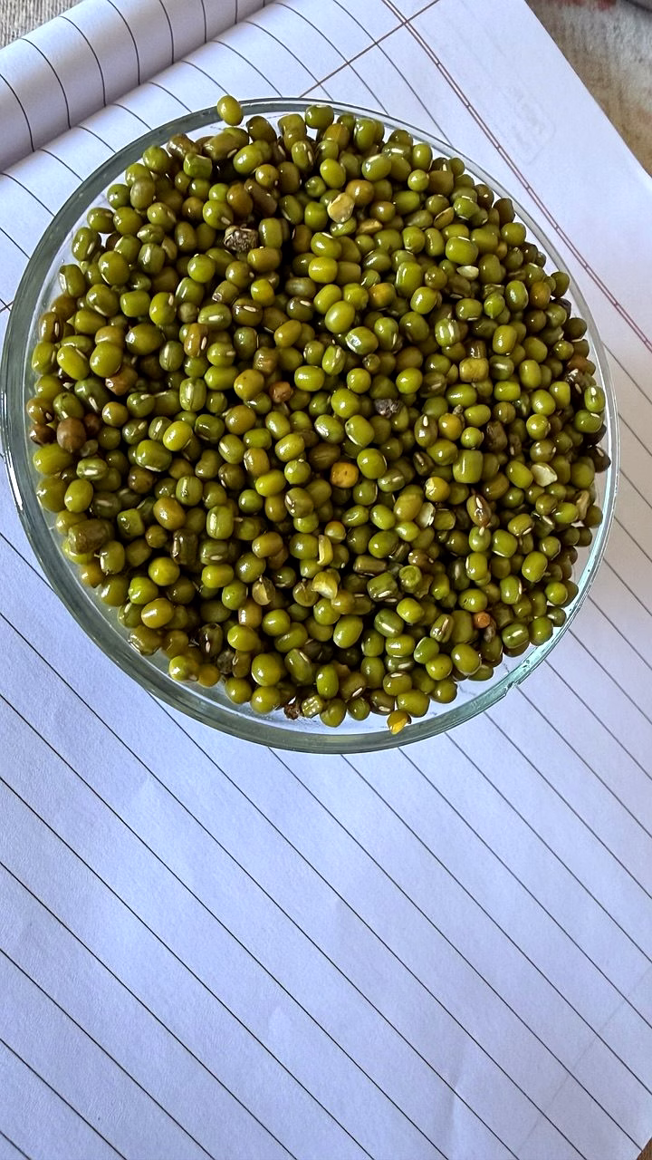 Moong Raw image 2