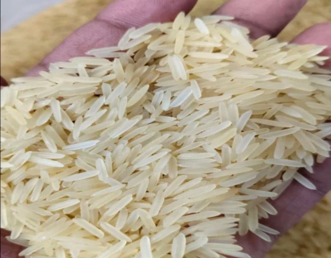 STEAM BASMATI RICE 1509 image 5