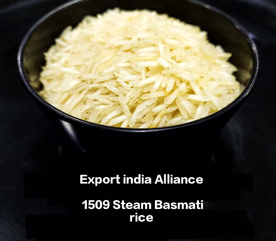 steam basmati rice 1509