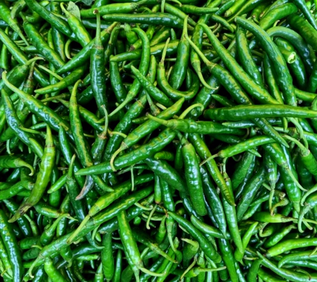 G4 GREEN CHILLI image 2
