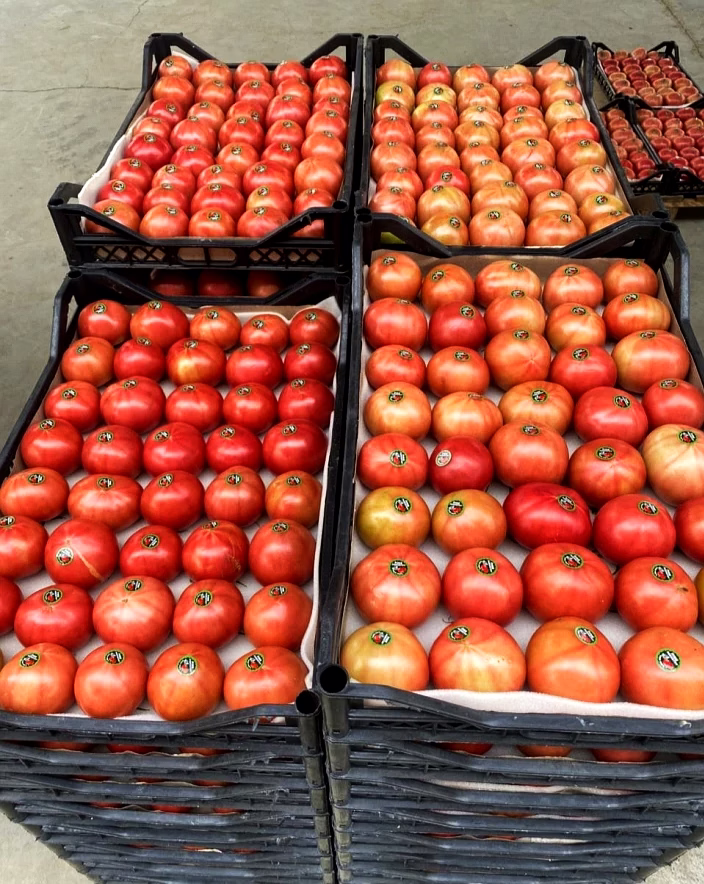 tomato
