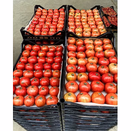 tomato