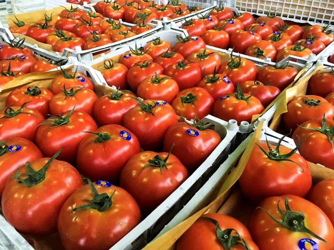 Tomato image 2