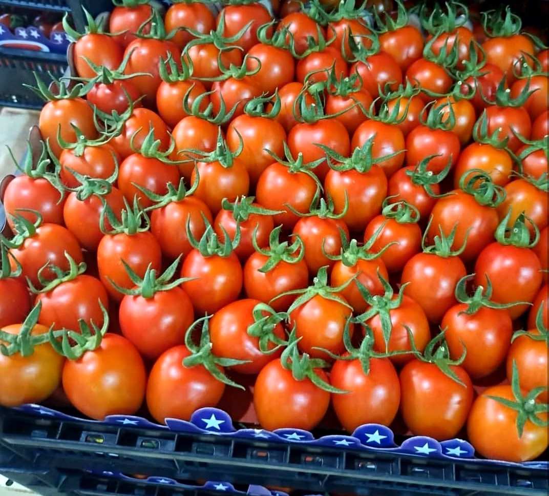 Tomato image 3