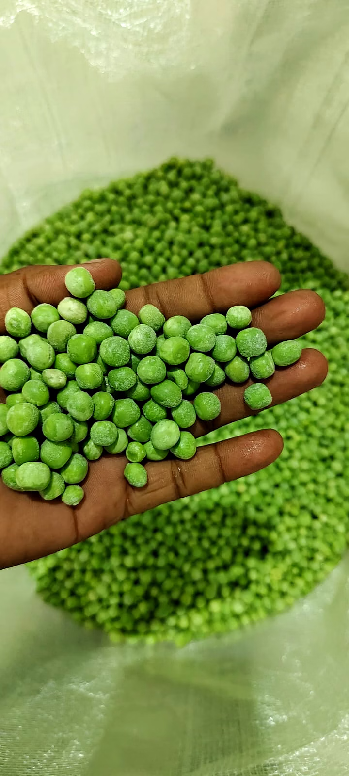 FROZEN GREEN PEAS image 1