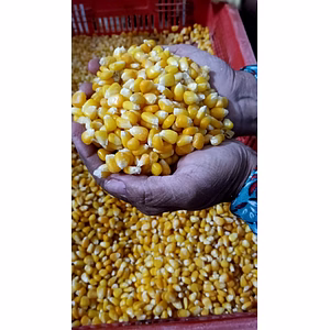 FROZEN SWEET CORN KERNELS