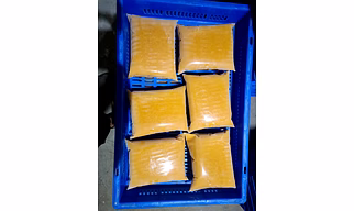 FROZEN TOTAPURI MANGO PULP