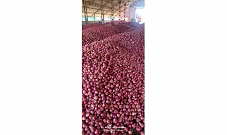 Onion