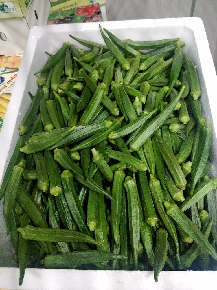 fresh okra