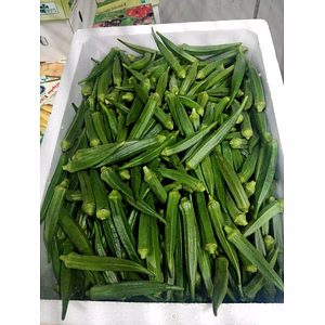 Fresh Okra