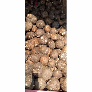 Suran (Elephant Foot Yam)