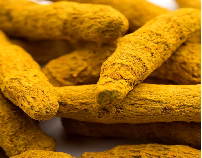 Finger Turmeric image 2
