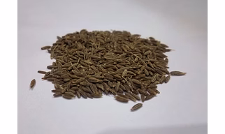 Cumin needs