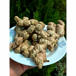 ginger (dried)