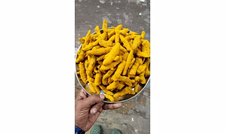 Turmeric