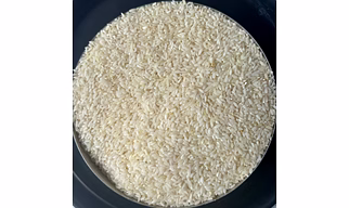 IR 64 Rice
