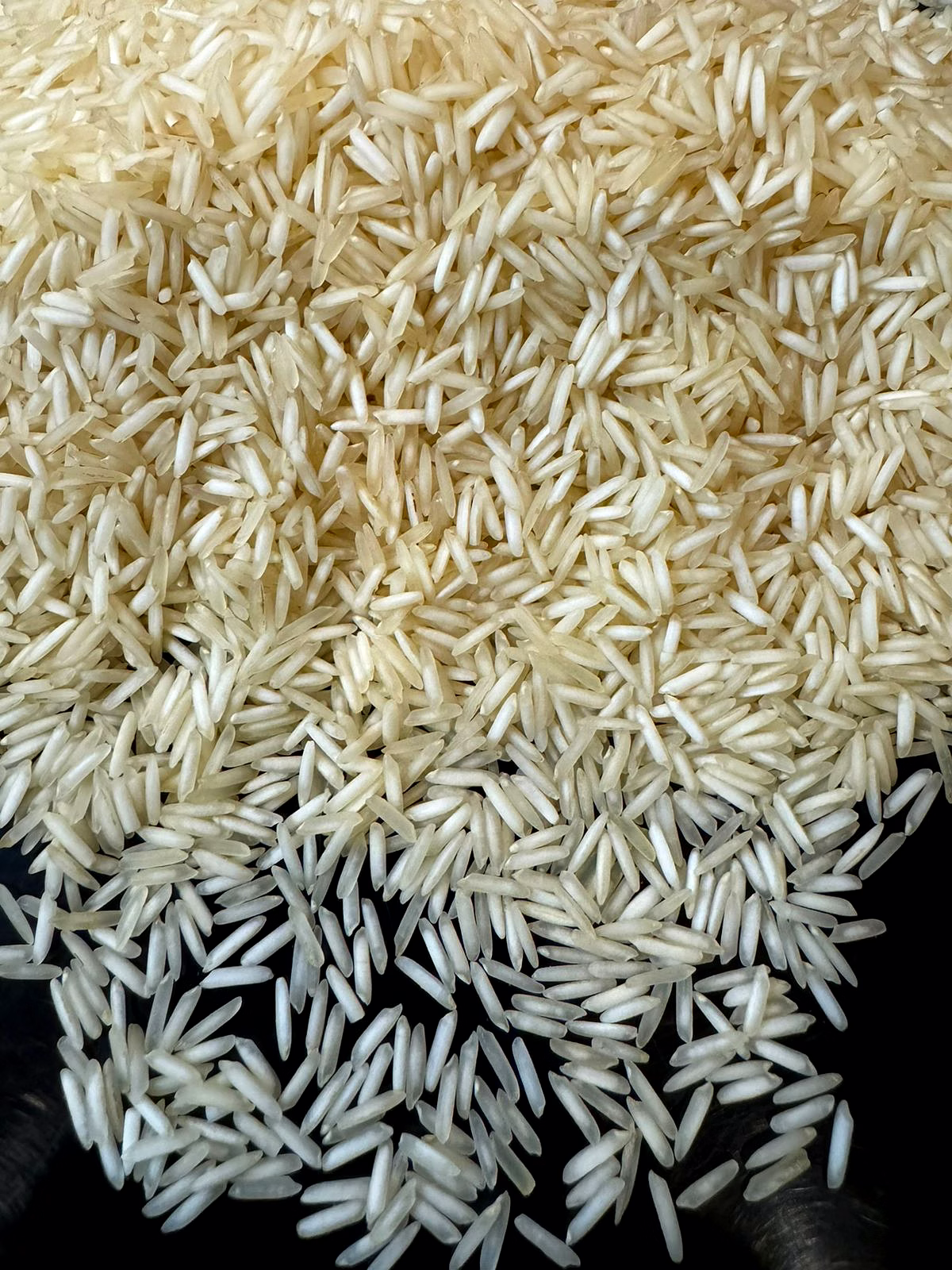 1509 basmati rice