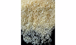 1509 Basmati Rice