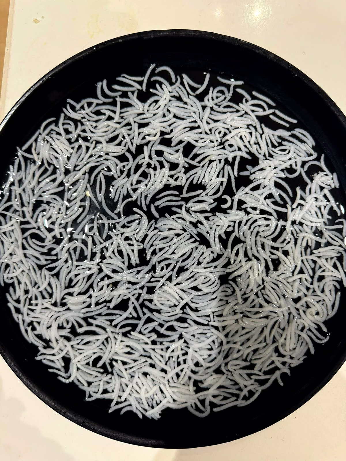 1121 Basmati Rice image 1