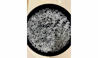 1121 Basmati Rice