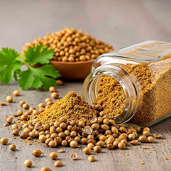 premium coriander seeds