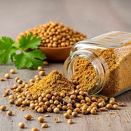 premium coriander seeds