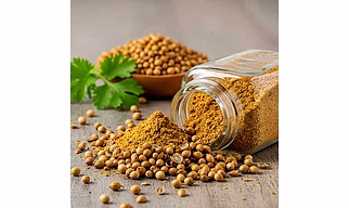 Premium Coriander Seeds