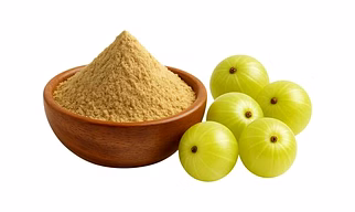 Amla Dehydrated Powder