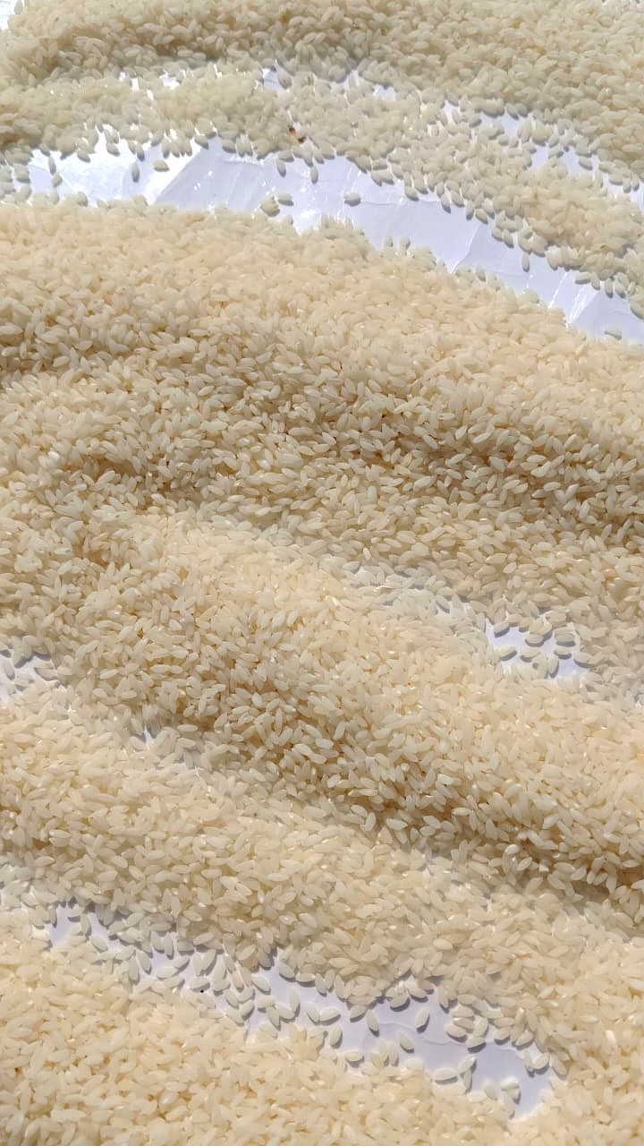 seeraga samba rice