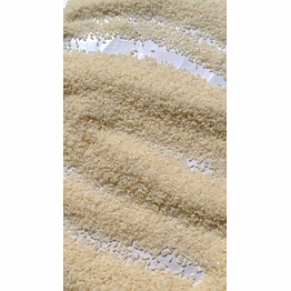 seeraga samba rice