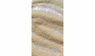 Seeraga Samba Rice